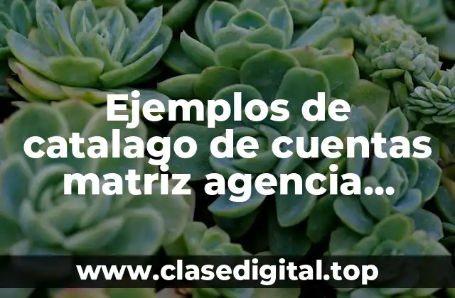 Ejemplos de catalago de cuentas matriz agencia sucursal