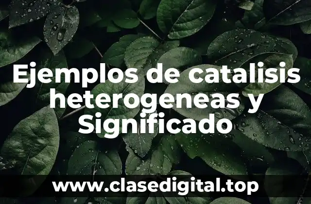 Ejemplos de catalisis heterogeneas y Significado