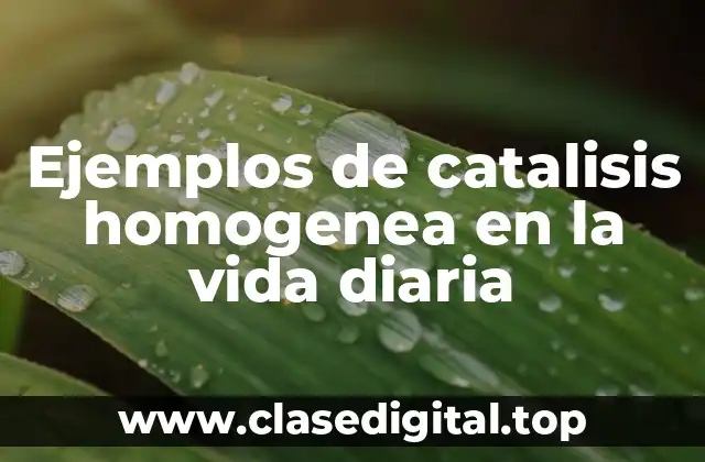 Ejemplos de catalisis homogenea en la vida diaria