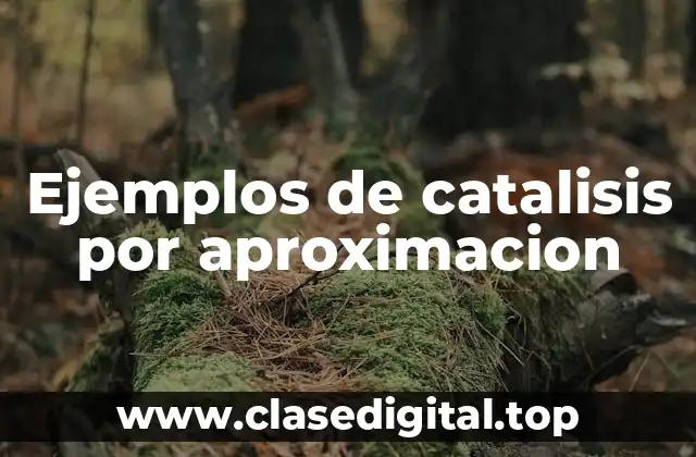 Ejemplos de catalisis por aproximacion