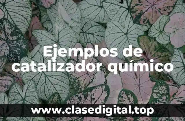 Ejemplos de catalizador químico