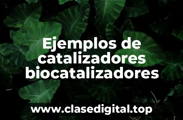 Ejemplos de catalizadores biocatalizadores