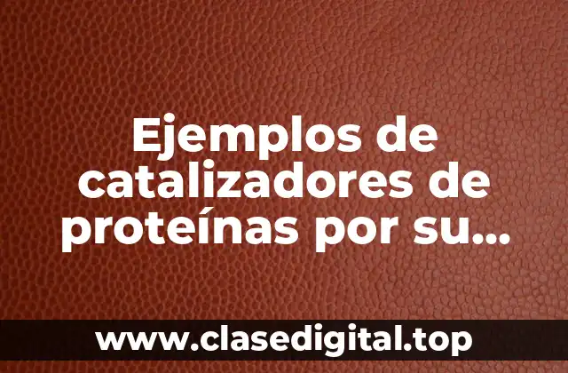 Ejemplos de catalizadores de proteínas por su función biológica