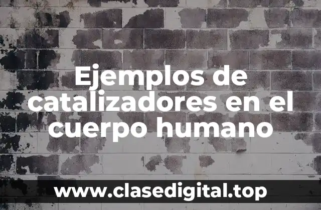 Ejemplos de catalizadores en el cuerpo humano