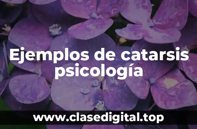 Ejemplos de catarsis psicología