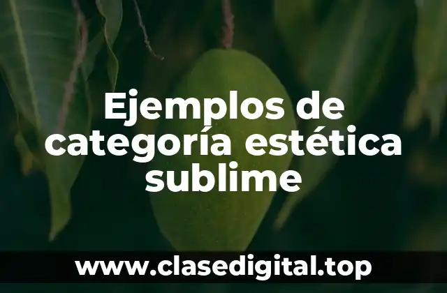 Ejemplos de categoría estética sublime