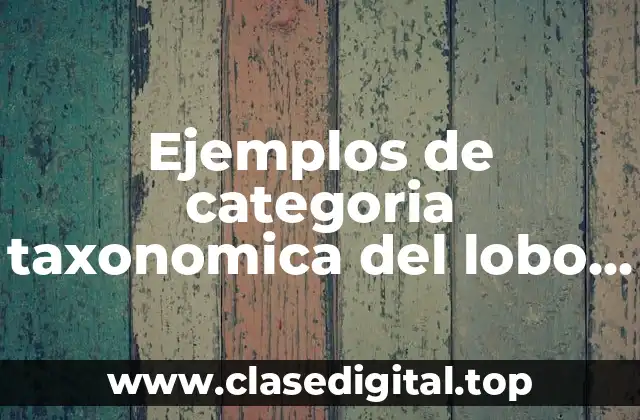 Ejemplos de categoria taxonomica del lobo y Significado