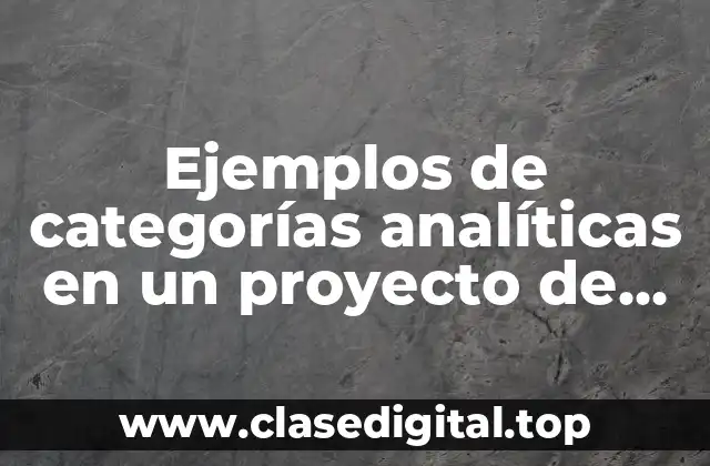 Ejemplos de categorías analíticas en un proyecto de autismo y Significado