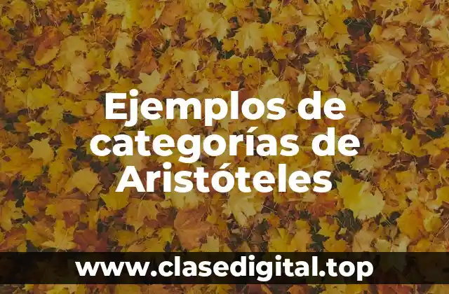 Ejemplos de categorías de Aristóteles