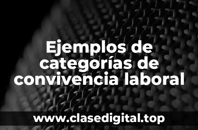 Ejemplos de categorías de convivencia laboral