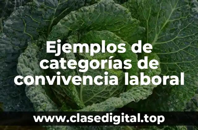 Ejemplos de categorías de convivencia laboral