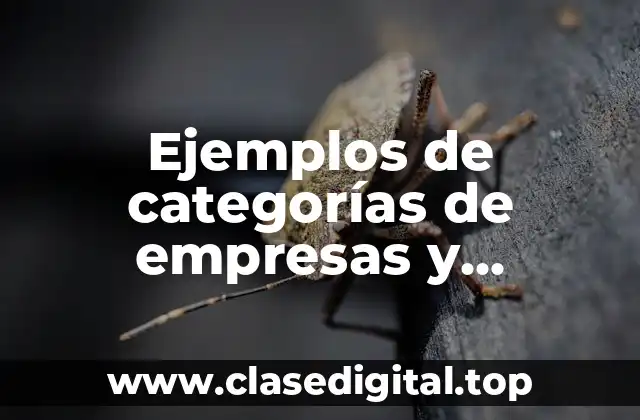 Ejemplos de categorías de empresas y Significado