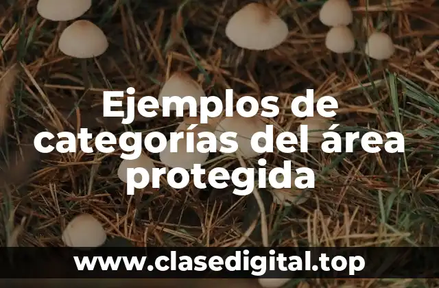Ejemplos de categorías del área protegida