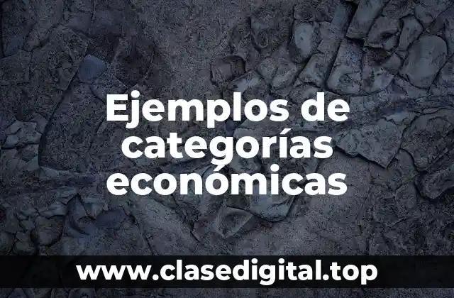 Ejemplos de categorías económicas