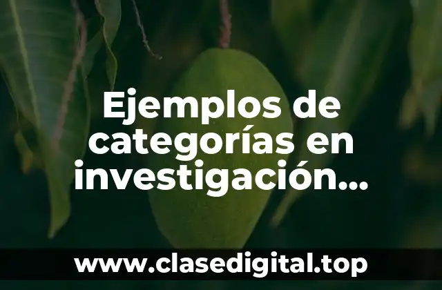 Ejemplos de categorías en investigación cualitativa y Significado