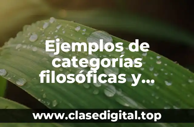 Ejemplos de categorías filosóficas