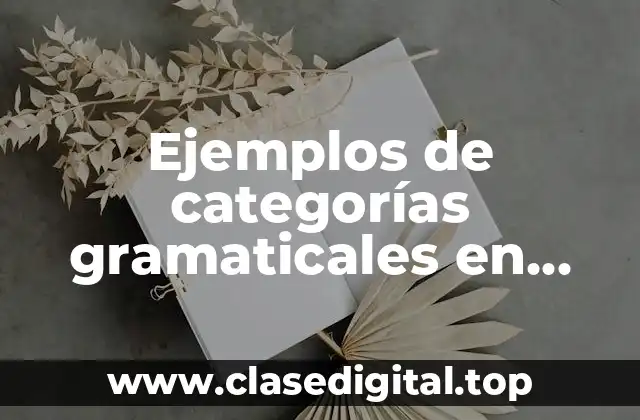 Ejemplos de categorías gramaticales