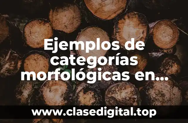 Ejemplos de categorías morfológicas en gramática
