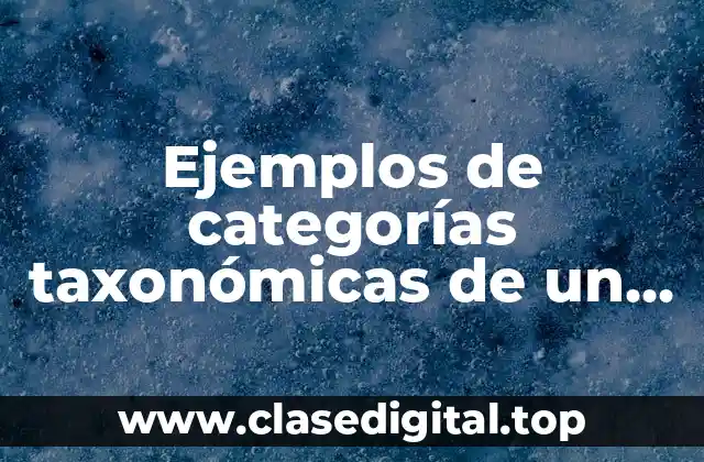 Ejemplos de categorías taxonómicas de un gato