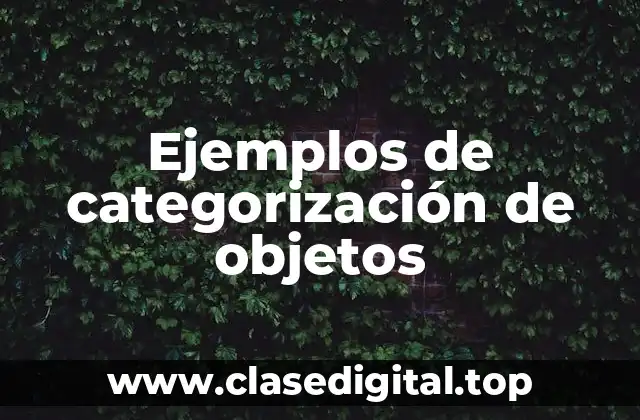 Ejemplos de categorización de objetos