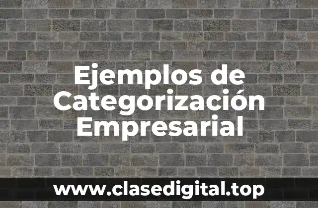 Ejemplos de Categorización Empresarial