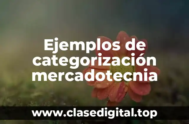 Ejemplos de categorización mercadotecnia