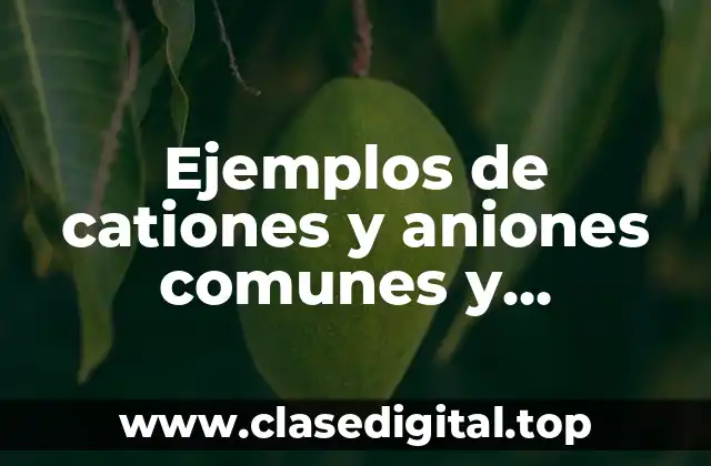 Ejemplos de cationes y aniones comunes y Significado