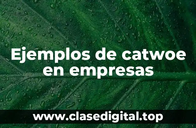 Ejemplos de catwoe en empresas