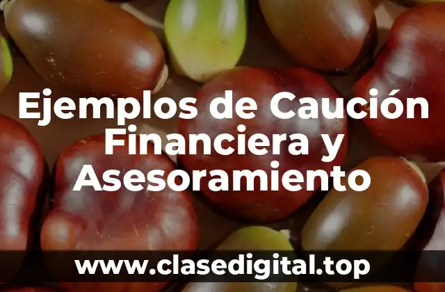 Ejemplos de Caución Financiera y Asesoramiento