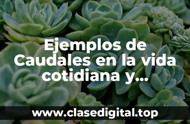 Ejemplos de Caudales en la vida cotidiana y Significado