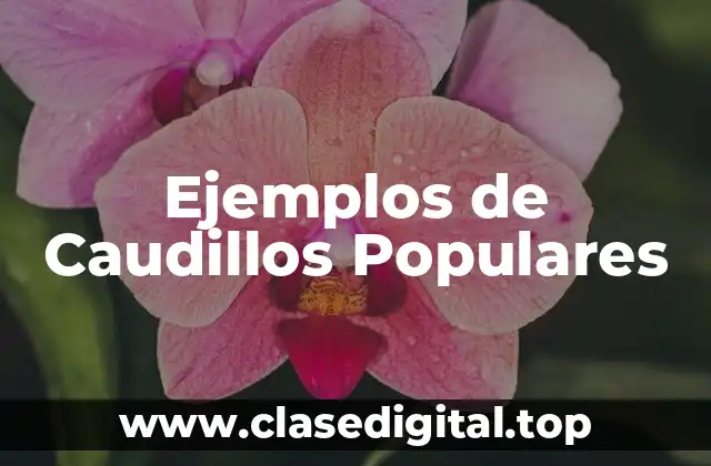 Ejemplos de Caudillos Populares