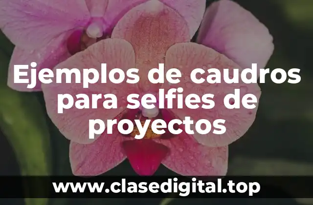 Ejemplos de caudros para selfies de proyectos