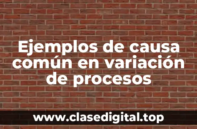 Ejemplos de causa común en variación de procesos