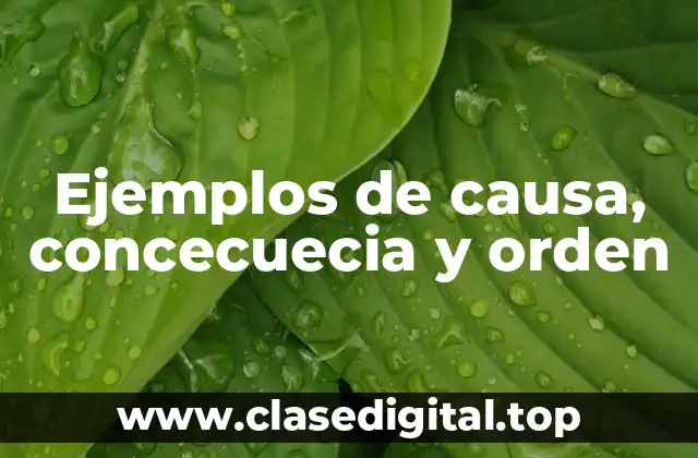 Ejemplos de causa, concecuecia y orden