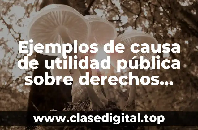 Ejemplos de causa de utilidad pública sobre derechos patrimoniales