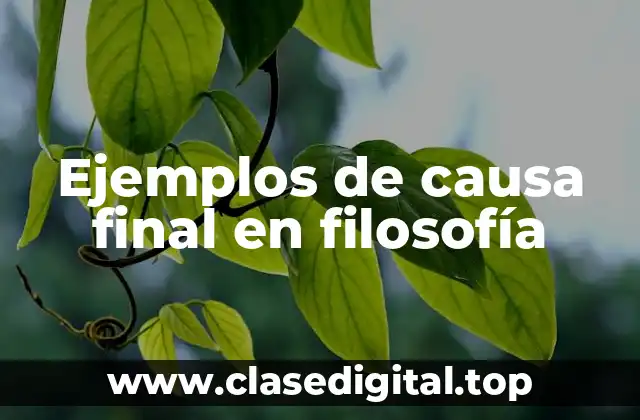 Ejemplos de causa final en filosofía