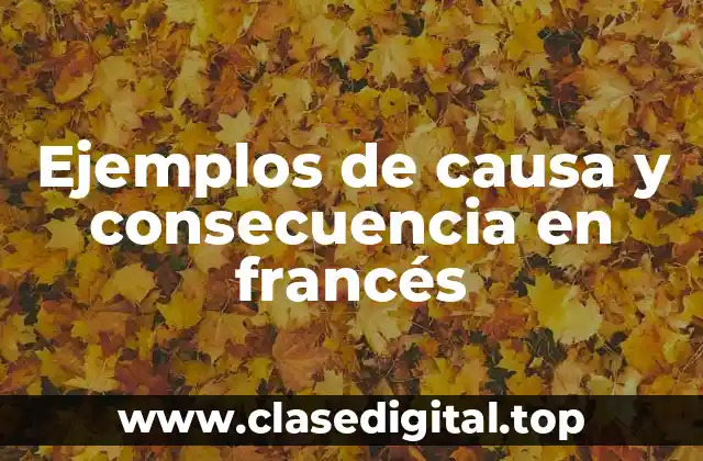 Ejemplos de causa y consecuencia en francés