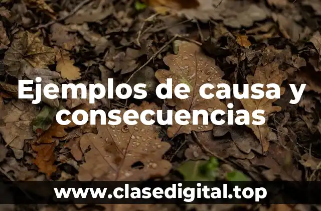 Ejemplos de causa y consecuencias