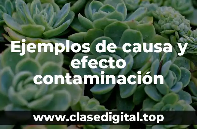 Ejemplos de causa y efecto contaminación