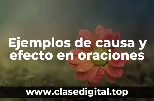 Ejemplos de causa y efecto en oraciones