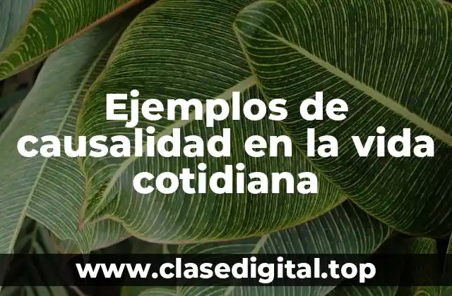 Ejemplos de causalidad en la vida cotidiana
