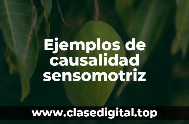 Ejemplos de causalidad sensomotriz