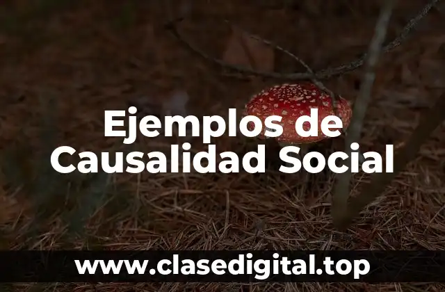 Ejemplos de Causalidad Social