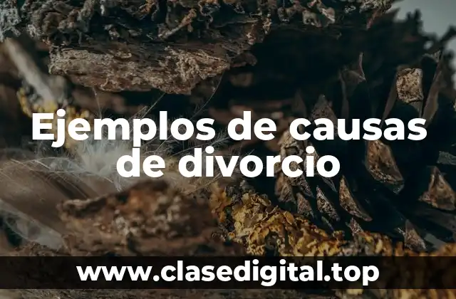 Ejemplos de causas de divorcio