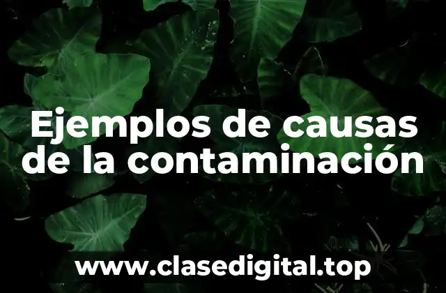 Ejemplos de causas de la contaminación