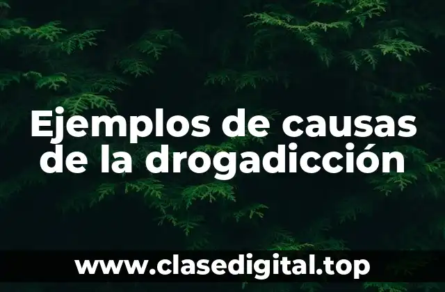 Ejemplos de causas de la drogadicción