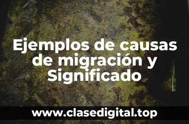 Ejemplos de causas de migración y Significado
