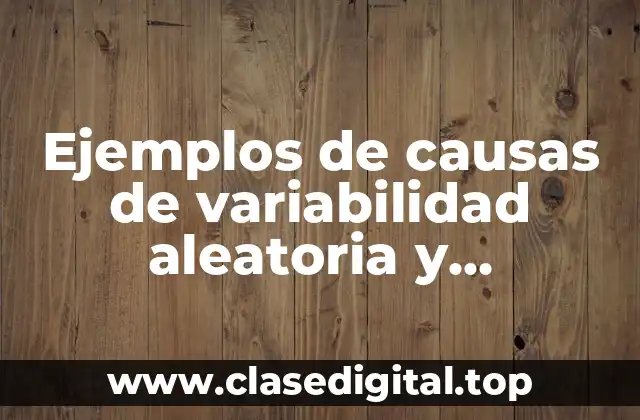 Ejemplos de causas de variabilidad aleatoria y Significado