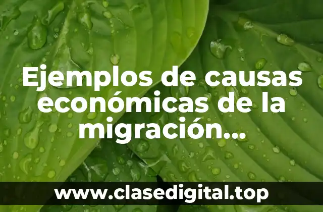 Ejemplos de causas económicas de la migración actualmente