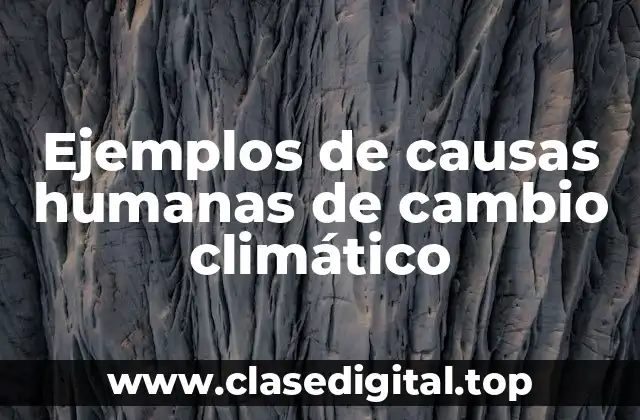 Ejemplos de causas humanas del cambio climático